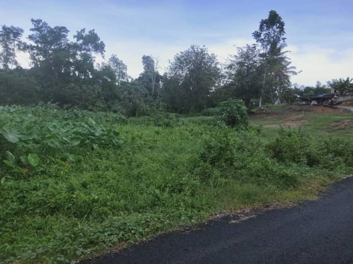 Tanah Pertanian Taman Temerloh Jaya MURAH - photo 2