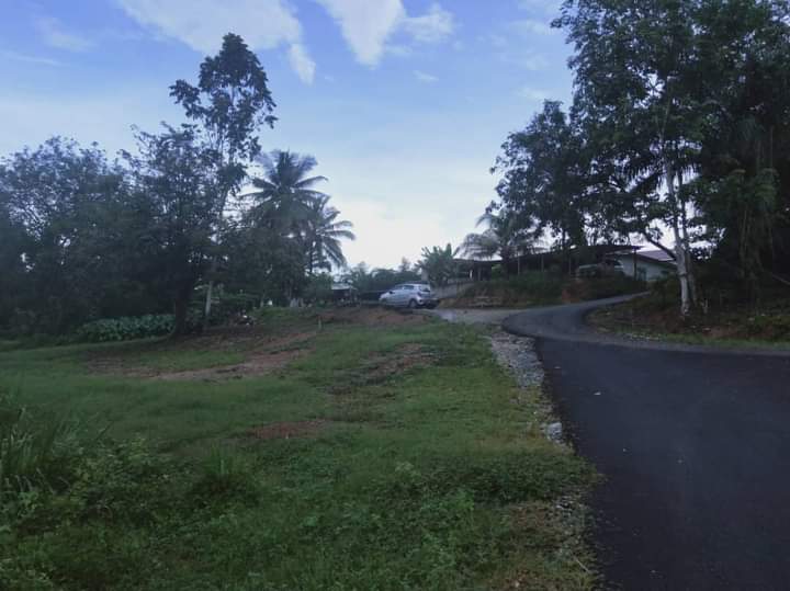 Tanah Pertanian Taman Temerloh Jaya MURAH - photo 3