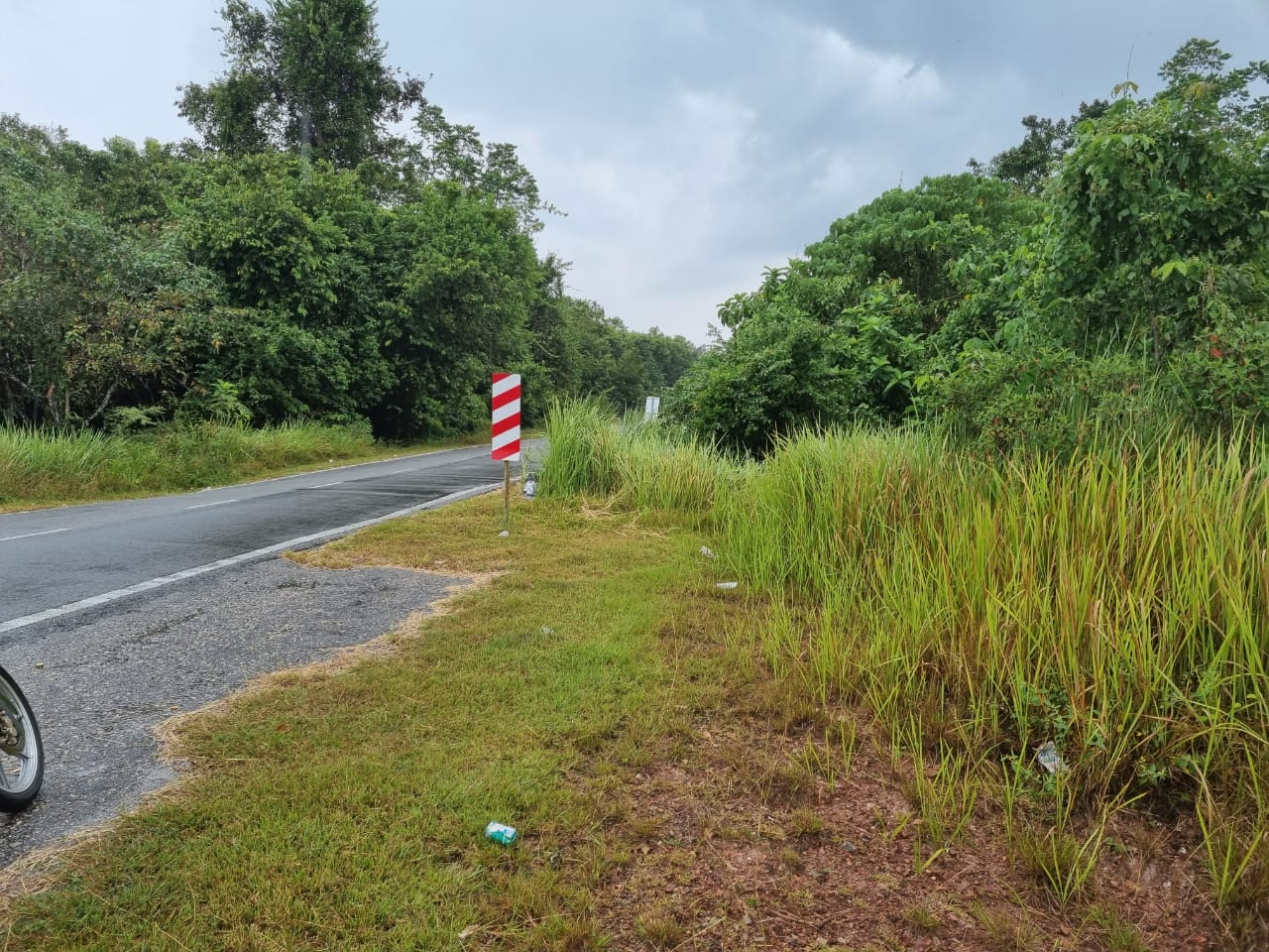 Tanah Pertanian Kampung Tanjung Batu Temerloh - photo 2