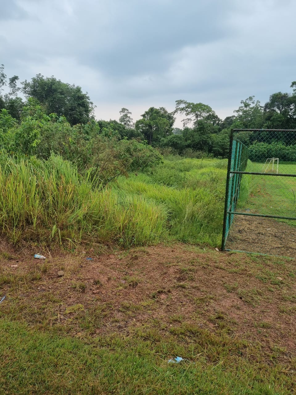 Tanah Pertanian Kampung Tanjung Batu Temerloh - photo 3