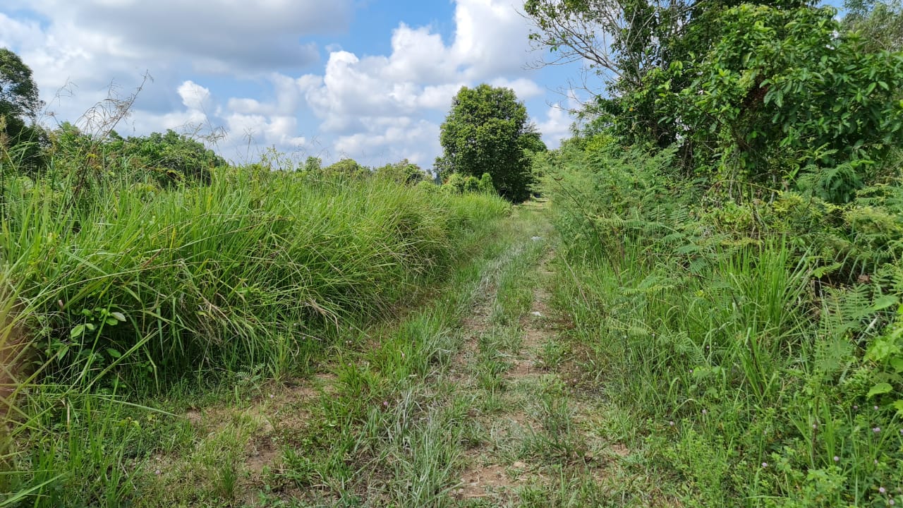 Tanah Pertanian Kampung Sri Damai Kuantan