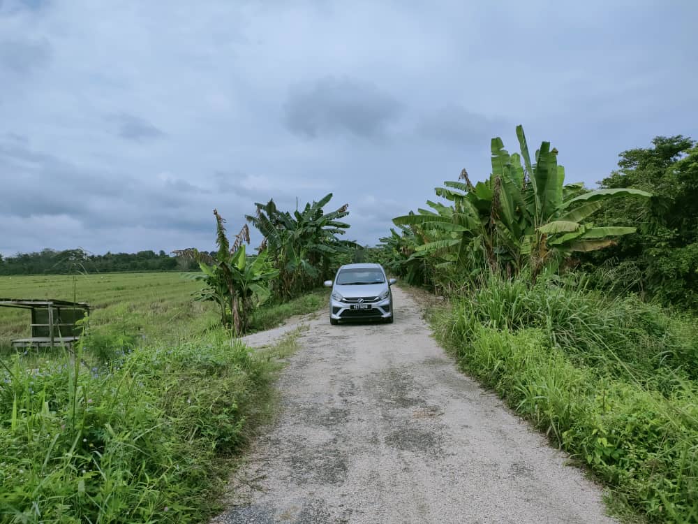 Tanah Pertanian Ganchong Ulu Pekan Pahang MURAH - photo 2