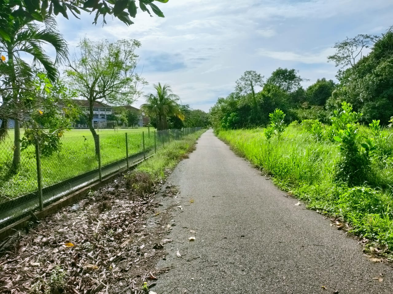Tanah Pertanian Kampung Sri Damai Kuantan - photo 2