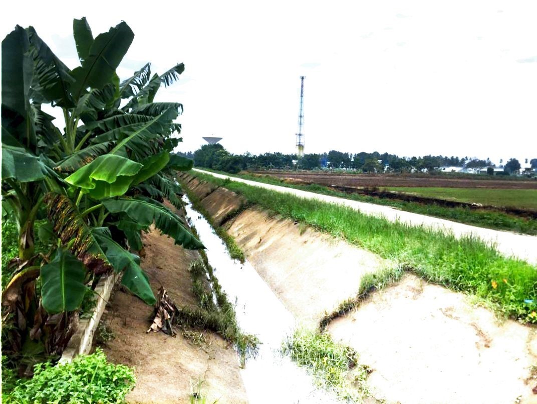 Tanah Pertanian Ganchong Tengah Pekan MURAH - photo 4