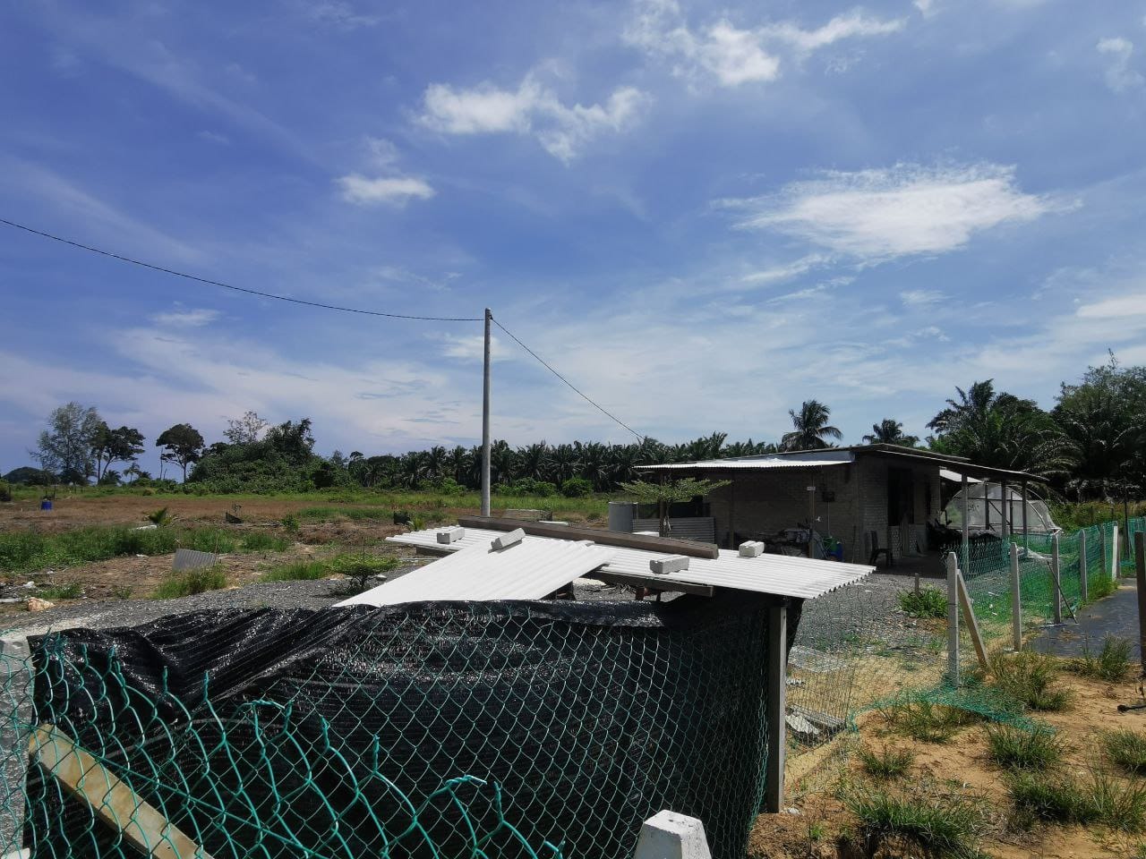 Tanah Pertanian Kampung Sungai Cedok Pontian - photo 1