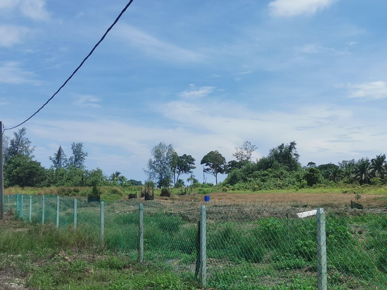 Tanah Pertanian Kampung Sungai Cedok Pontian - photo 3