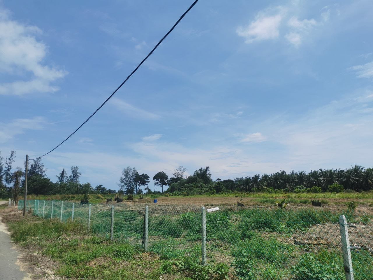 Tanah Pertanian Kampung Sungai Cedok Pontian - photo 4