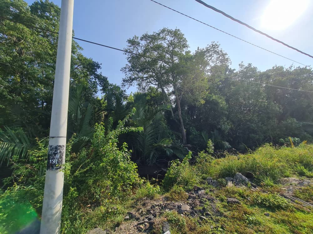 Tanah Pertanian Pasir Panjang Pekan Pahang - photo 5
