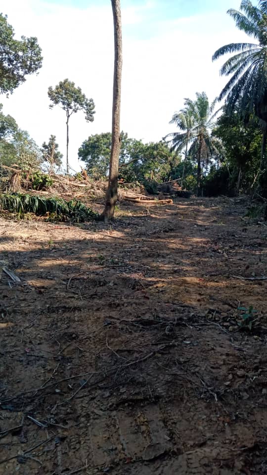 Tanah Pertanian di Atong, Jln Sg Lembing Kuantan - photo 3