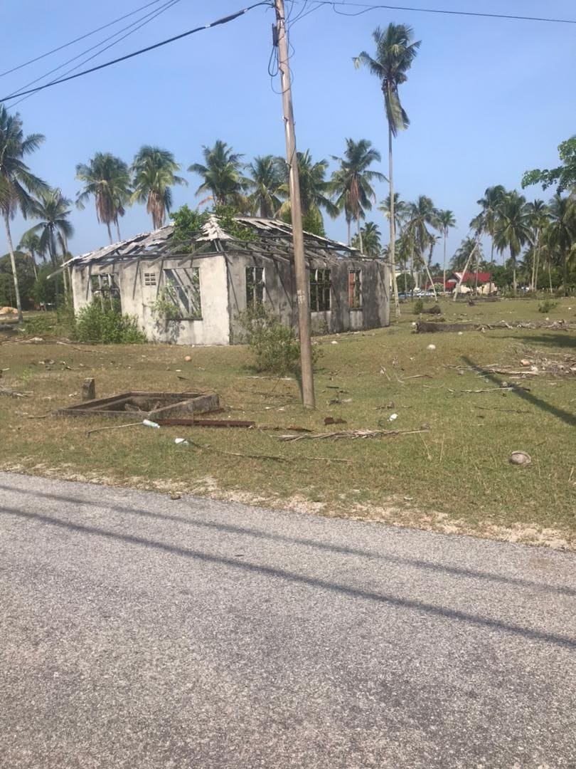 Tanah Pertanian Di Nenasi Jalan Utama Pekan Rompin - photo 4