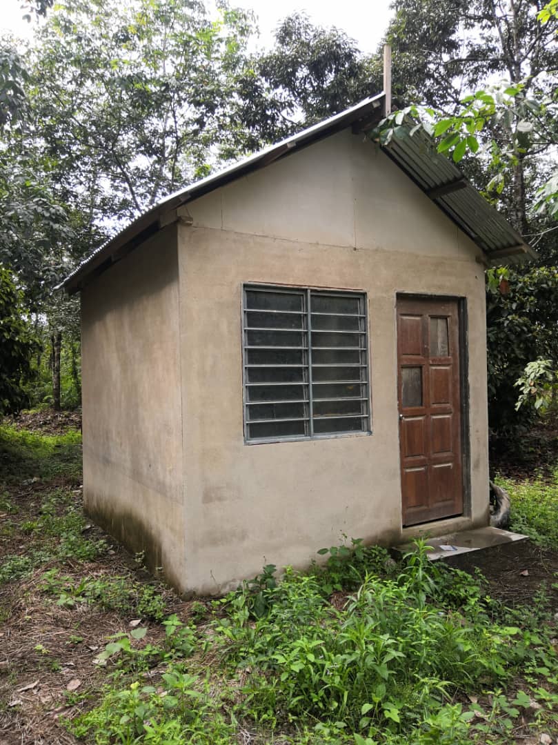 Tanah Pertanian Kampung Kuala Kaung Lanchang - photo 4