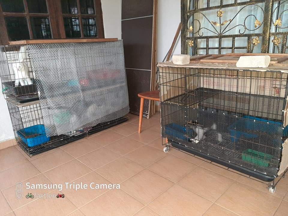 Corner Lot Teres Bandar Kuantan Putri Sungai Soi - photo 2