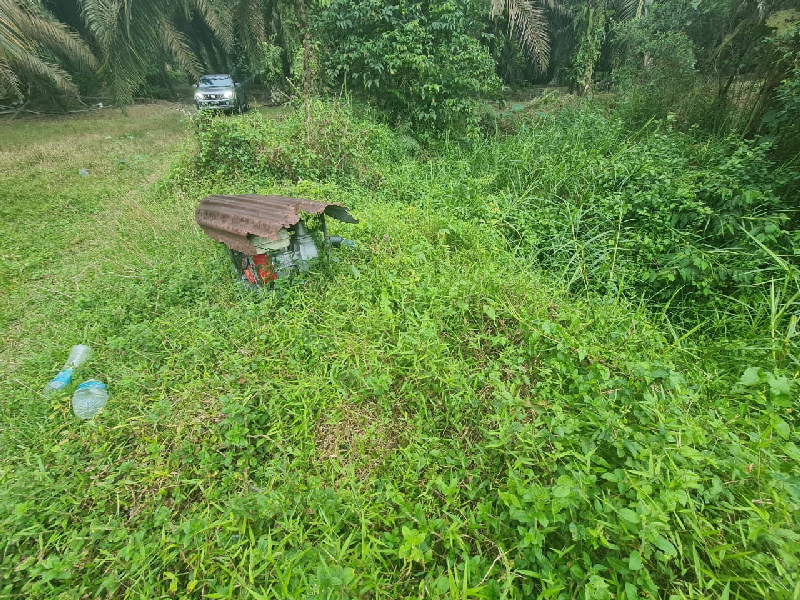Tanah Pertanian Ada Anak Sungai - 2.12 ekar  - photo 3