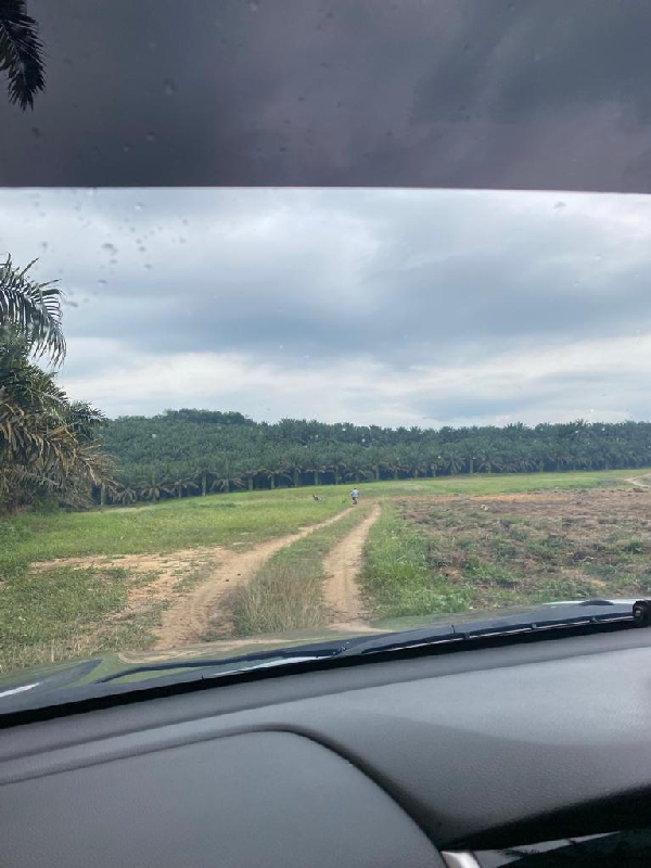 Tanah Pertanian Ada Anak Sungai - 2.12 ekar  - photo 9