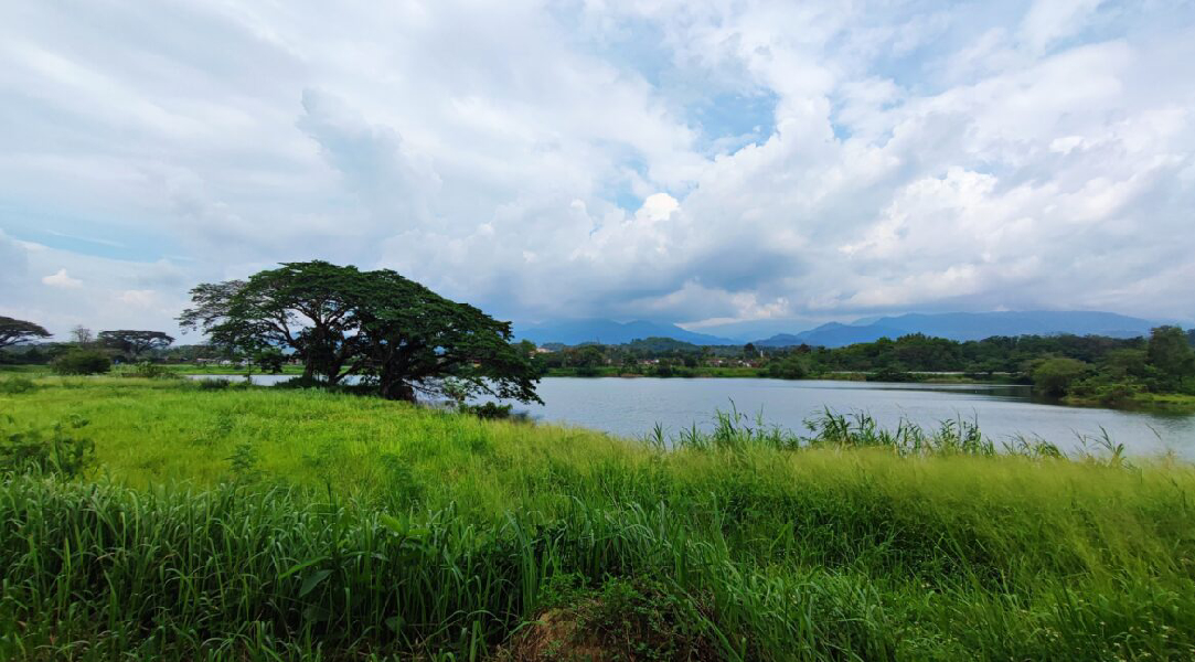 Rumah Teres Mengadap - Jogging track  - photo 13