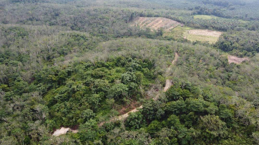 Tanah Pertanian 6 ekar lebih Untuk Dijual  - photo 2
