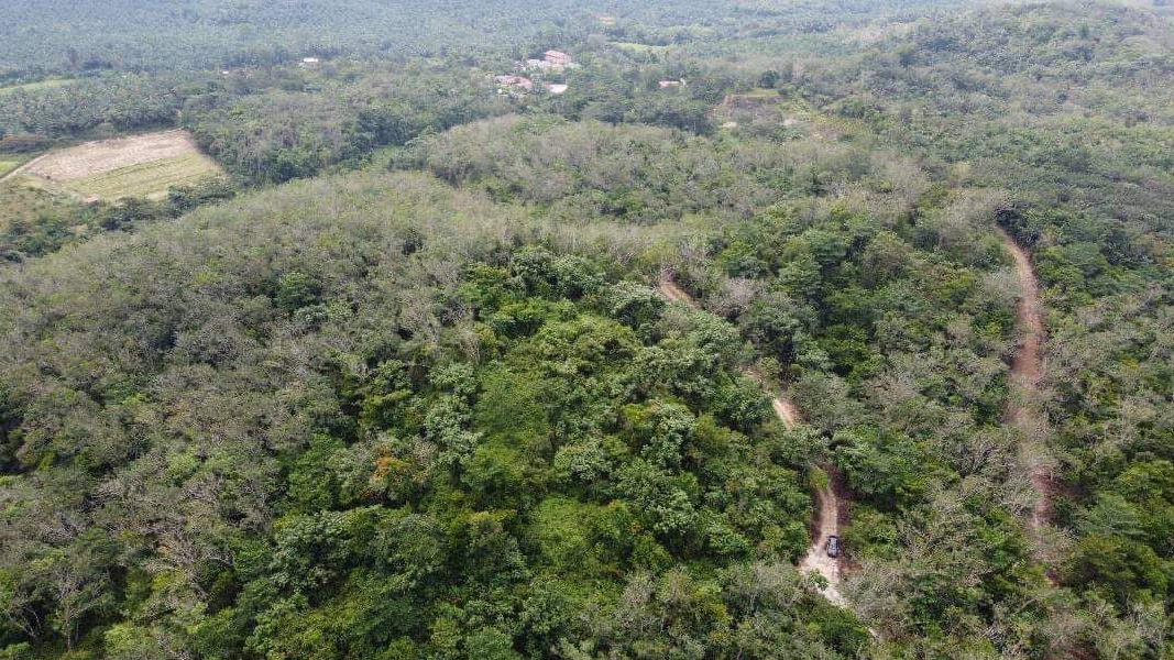Tanah Pertanian 6 ekar lebih Untuk Dijual  - photo 3
