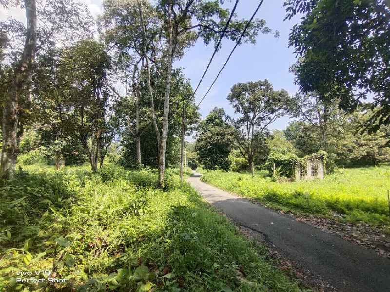 Tanah Dusun 2 ekar Ada Akses Jalan Di Kg. Sahom Kampar, Perak- - photo 3
