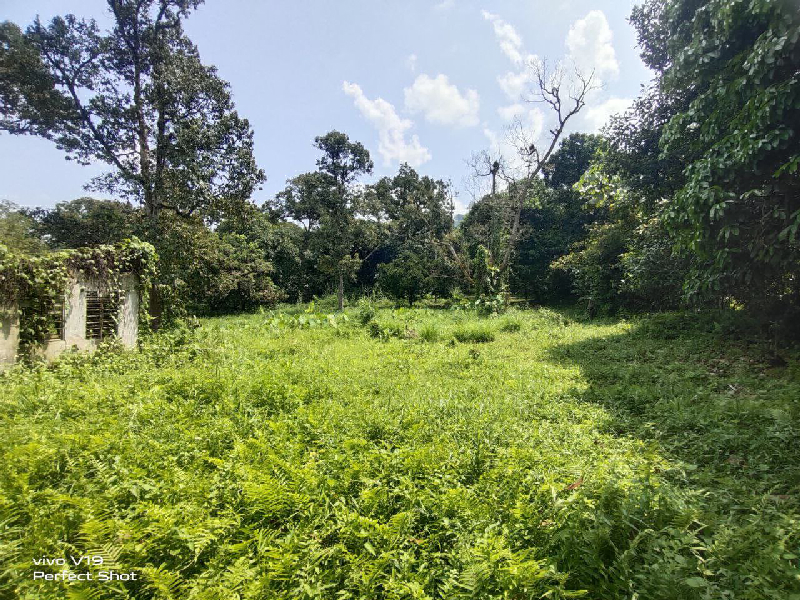 Tanah Dusun 2 ekar Ada Akses Jalan Di Kg. Sahom Kampar, Perak- - photo 4