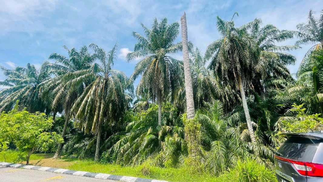 Rumah Teres Setingkat Di Gelung Pepuyu Bota Perak - photo 4