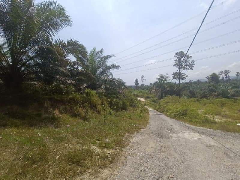 Tanah Sawit Freehold 2.3 ekar - photo 4