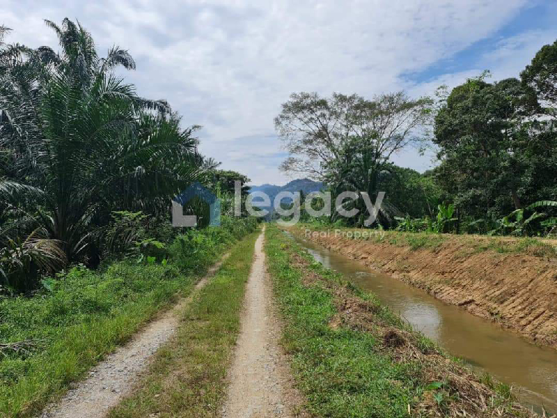 Tanah Pertanian Sawit 3.437 Ekar Selama Perak - photo 3
