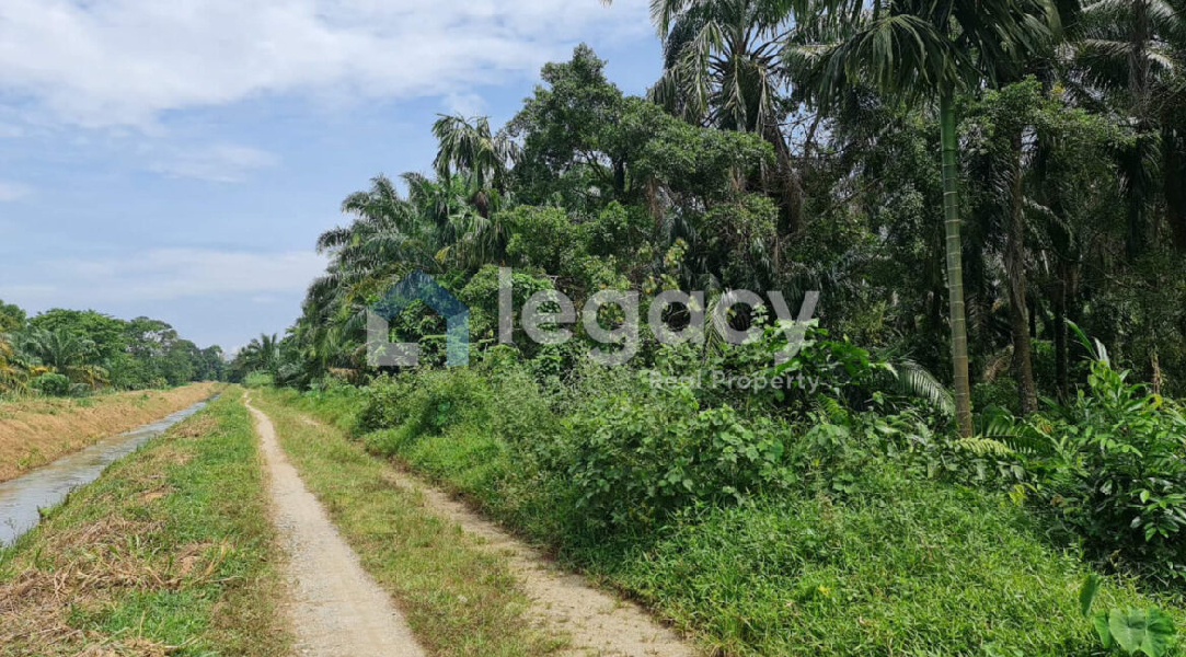 Tanah Pertanian Sawit 3.437 Ekar Selama Perak - photo 4