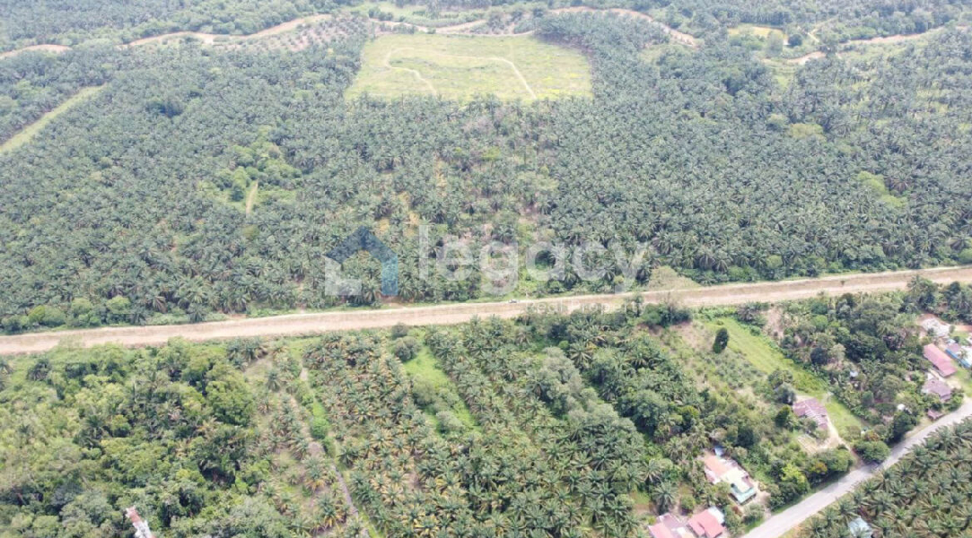 Tanah Pertanian Sawit 3.437 Ekar Selama Perak - photo 6
