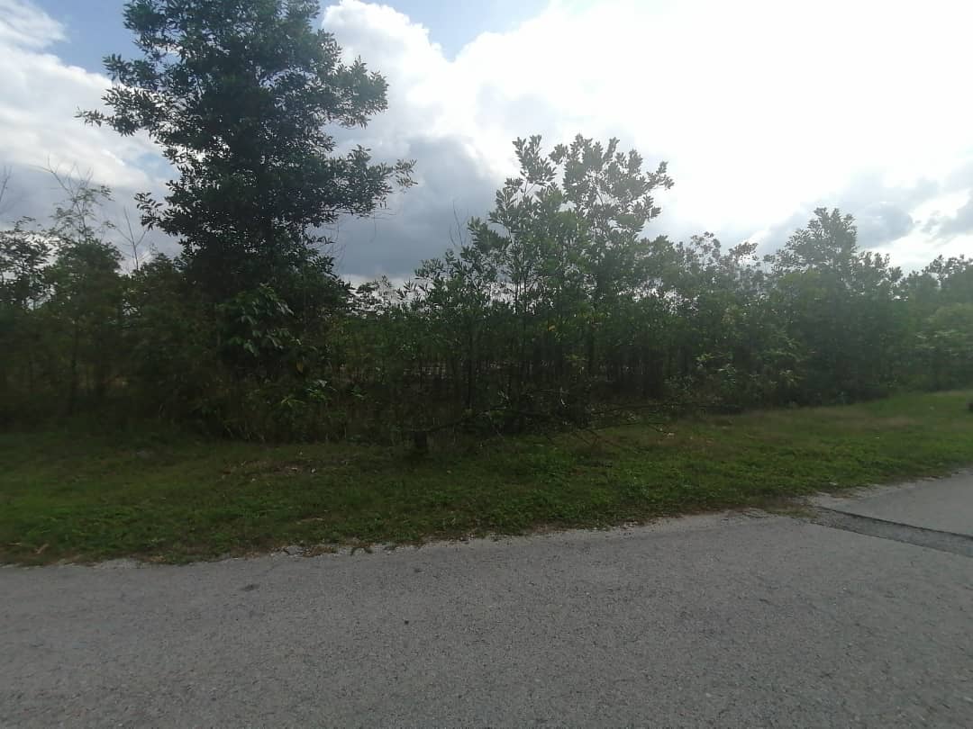10 Ekar Industrial Land,Freehold Non Bumi,Rasa - photo 6