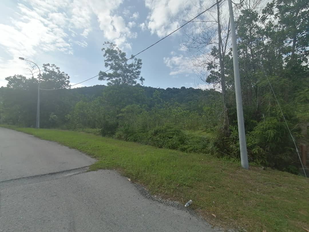 10 Ekar Industrial Land,Freehold Non Bumi,Rasa - photo 9
