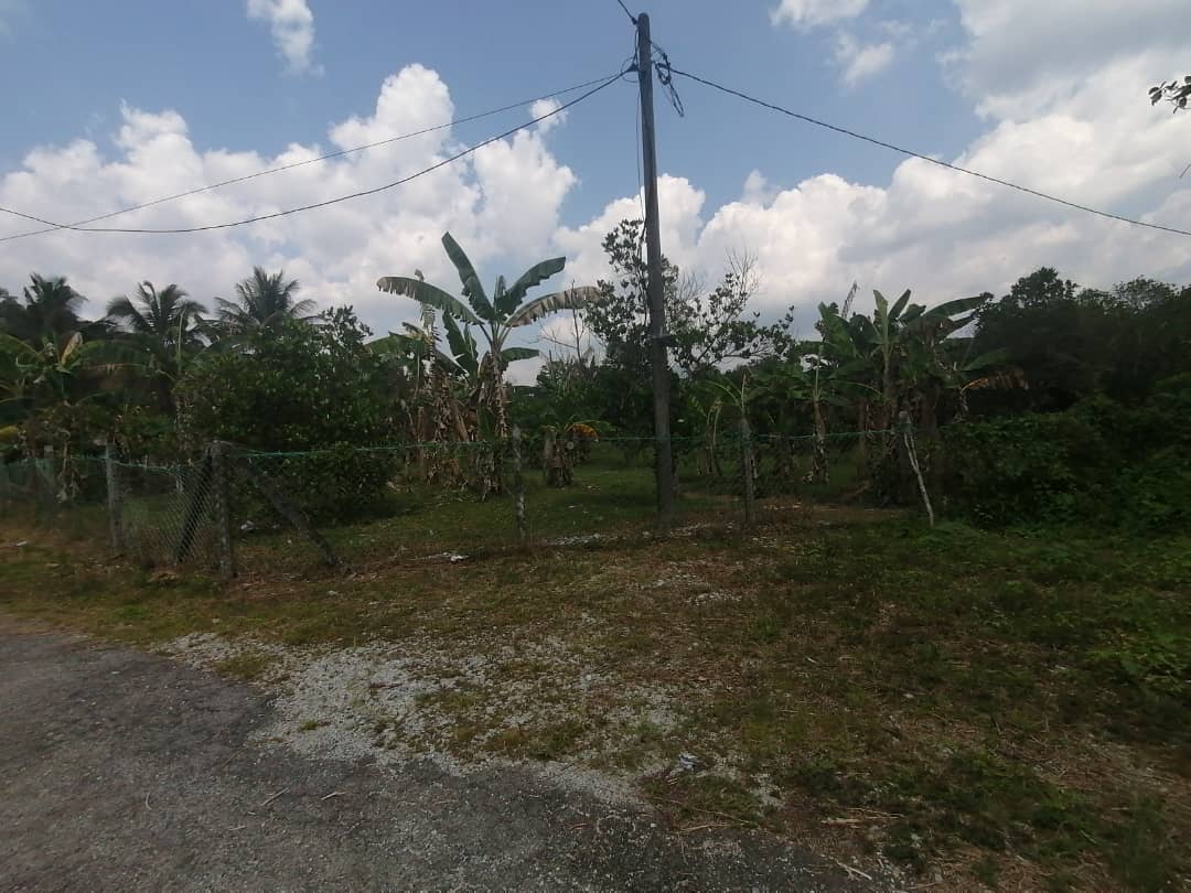Tanah Pertanian Non Bumi Lot 3 Ekar  Rasa - photo 2