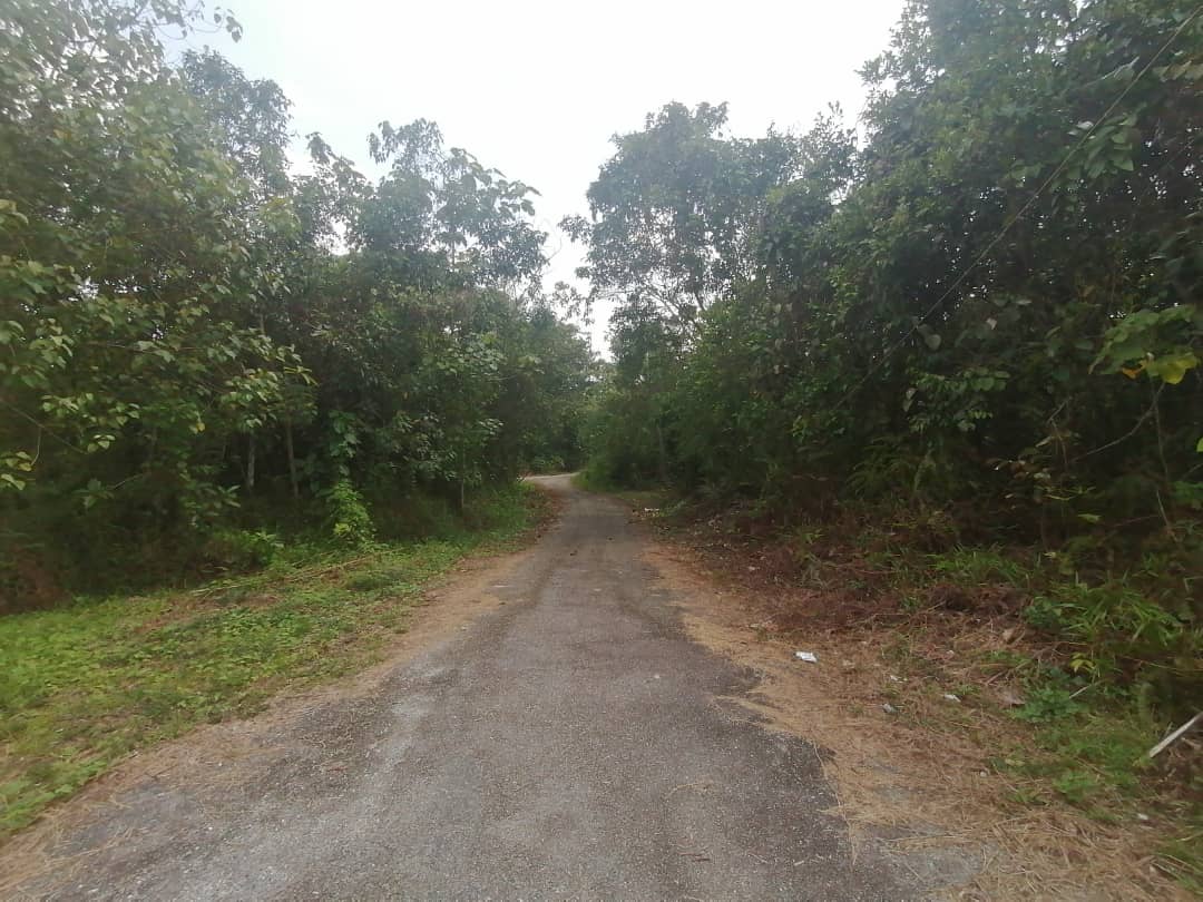 Tanah Pertanian Non Bumi Lot 3 Ekar  Rasa - photo 4
