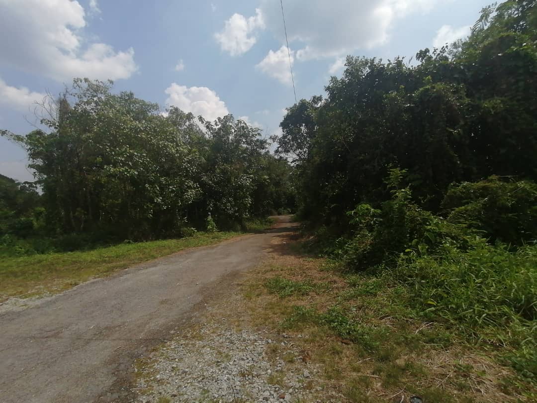 Tanah Pertanian Non Bumi Lot 3 Ekar  Rasa - photo 5