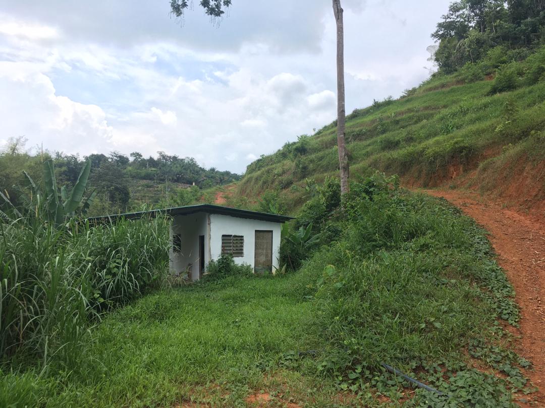 Kebun Durian Kampung Sg Jang,Kerling 2 Ekar - photo 2