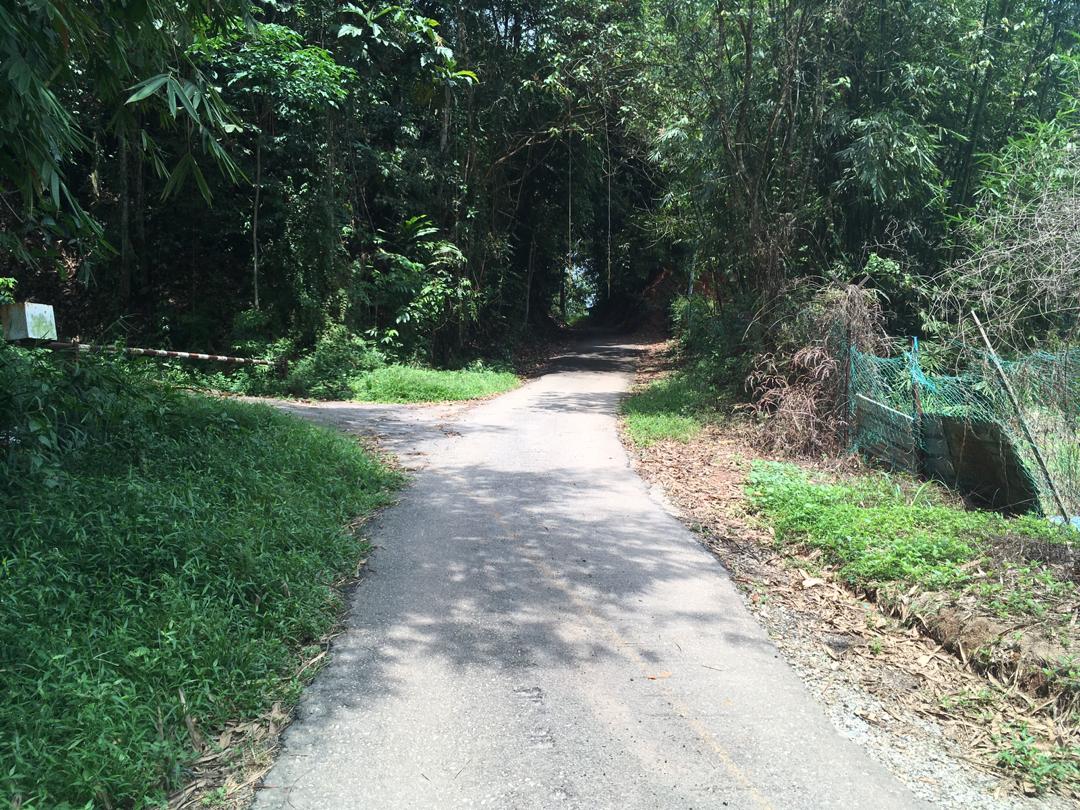 Kebun Durian Kampung Sg Jang,Kerling 2 Ekar - photo 5