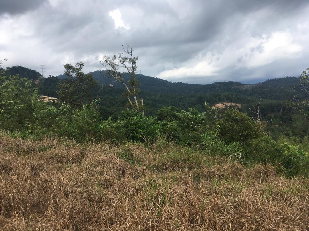 Agri Land For Sale Kampung Sg Jang,Kerling 2 Ekar - photo 5