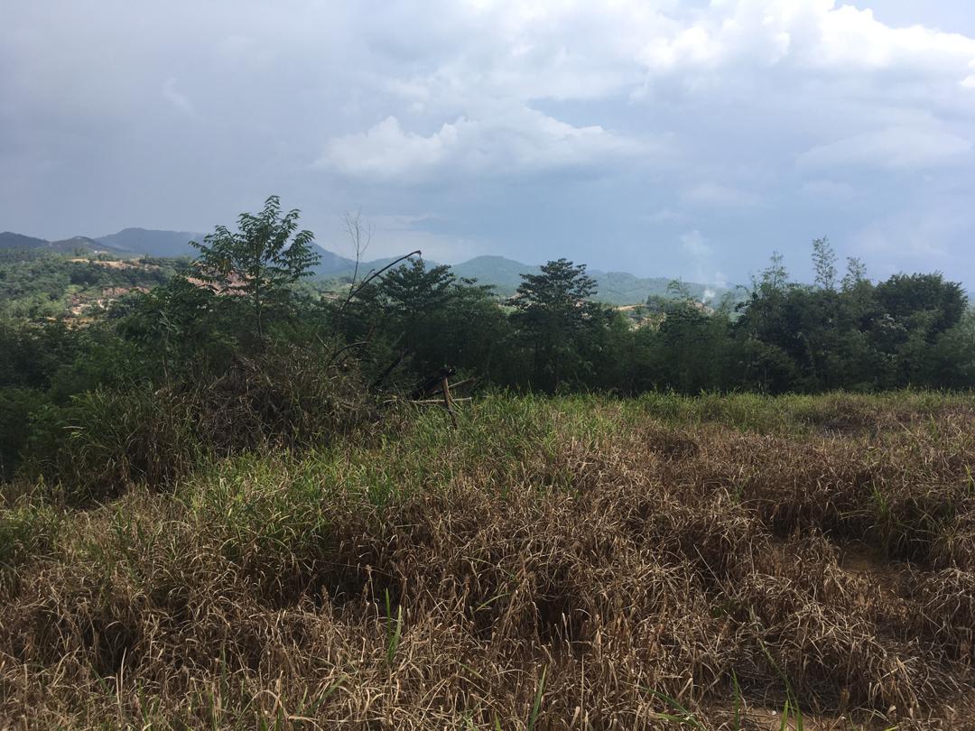 Agri Land For Sale Kampung Sg Jang,Kerling 2 Ekar - photo 10