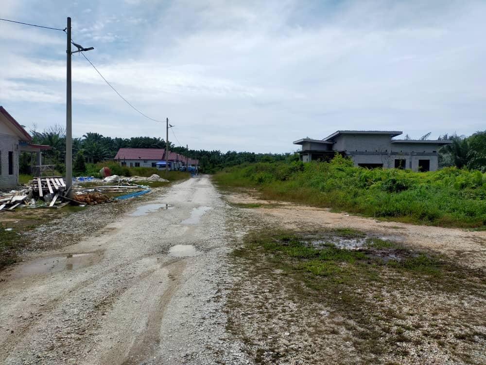 Kampung Bukit Hijau Jeram Kuala Selangor - photo 6
