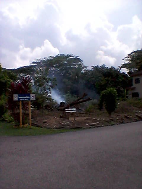 Lot Banglo geran individu 5000sqft di Serenda - photo 5