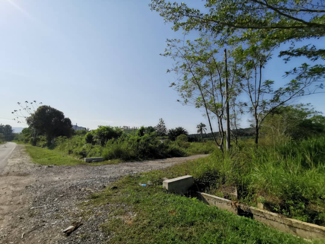 Agri Land Non Bumi Lot Kundang Easy Acc - photo 4