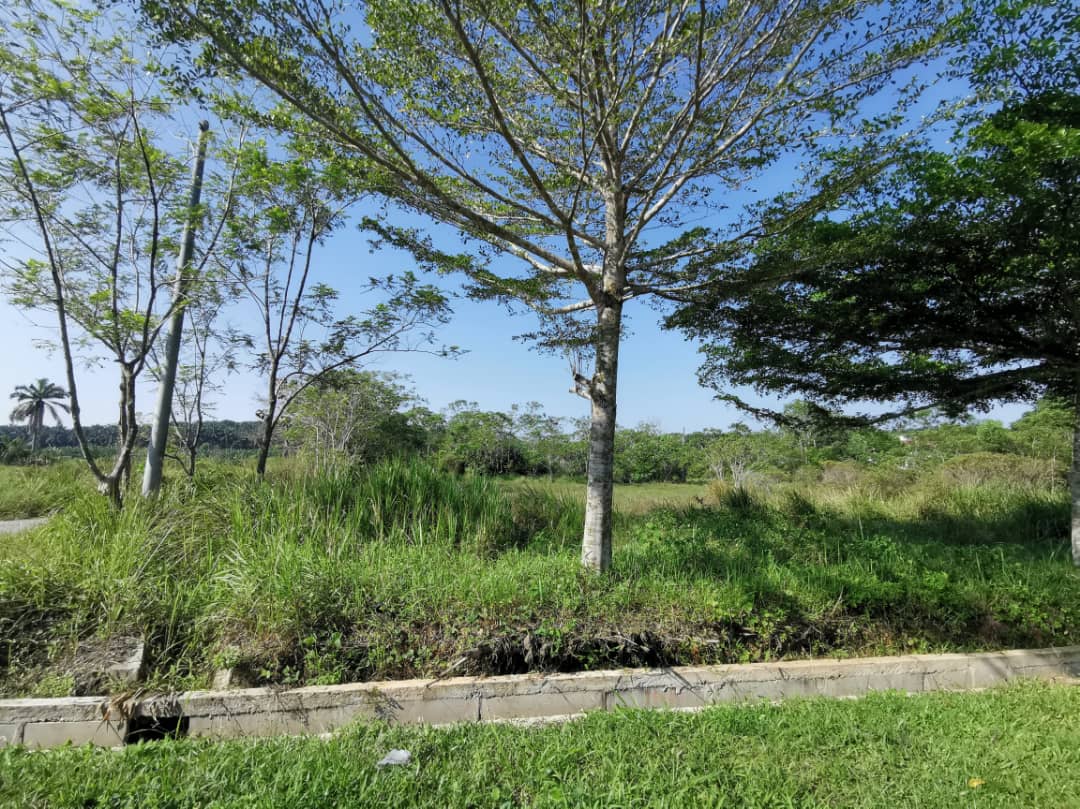 Agri Land Non Bumi Lot Kundang Easy Acc - photo 5