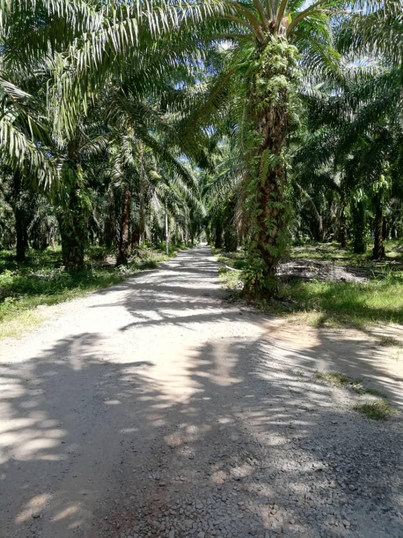 Land Nearby Jimah Power Plant Port Dickson - photo 6