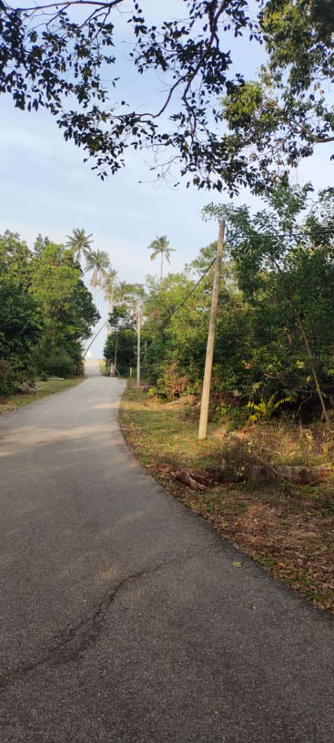 Tanah Tepi Pantai Di Kg Bari Besar Setiu Terenggan - photo 8
