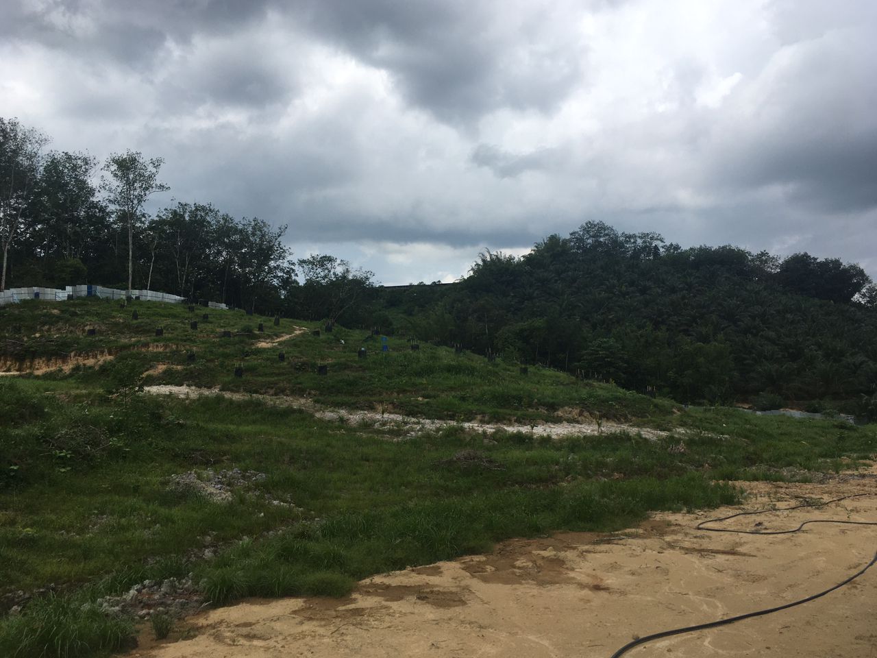 Agri Land  Non Bumi Lot di Sungai Jang,Kerling - photo 5