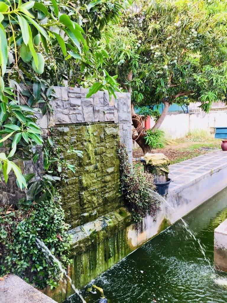 Banglo 2 Tingkat Tanah Setengah Ekar Padang Bongor - photo 2