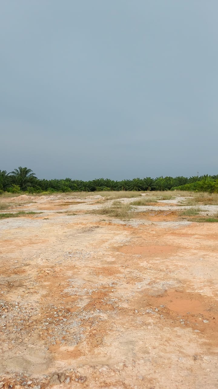3 Acre Agri Land Zoning Industrial Jimah Negeri - photo 6