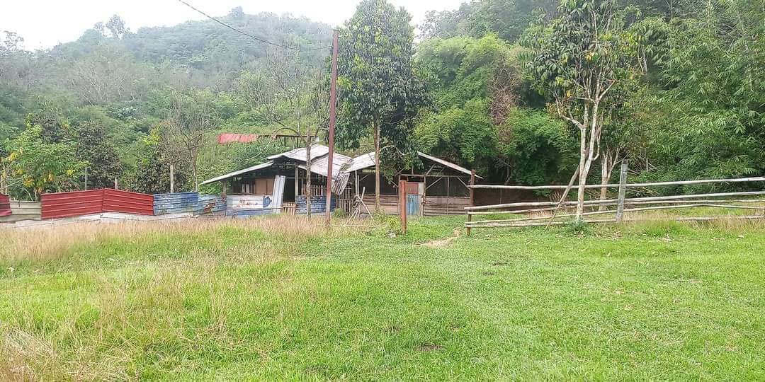 3 Ekar Agri Land Belakang Taman Zamrud Kerling ,Hu - photo 5
