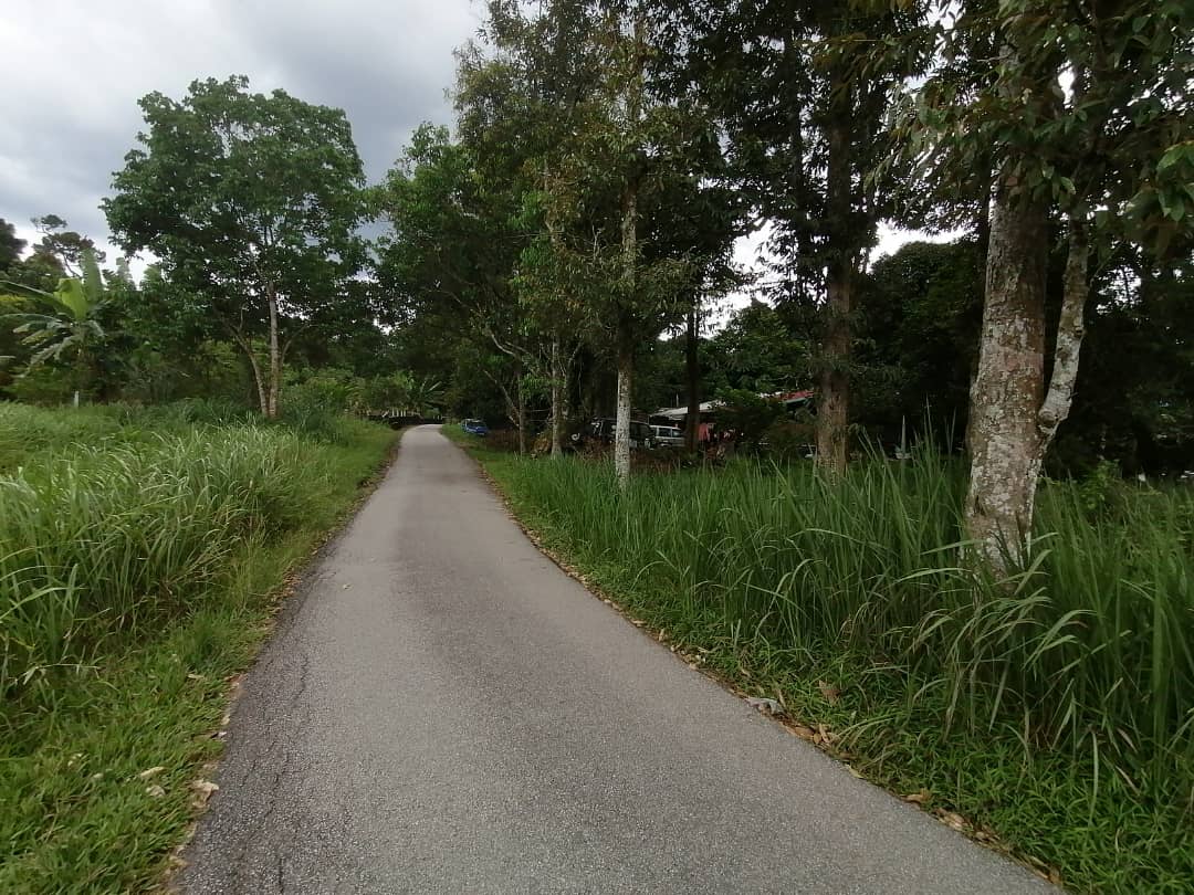 Non Bumi Lot Freehold Kampung Sentosa, Batang Kali - photo 5