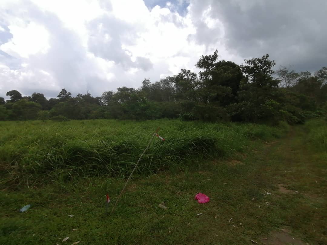 Non Bumi Lot Freehold Kampung Sentosa, Batang Kali - photo 6