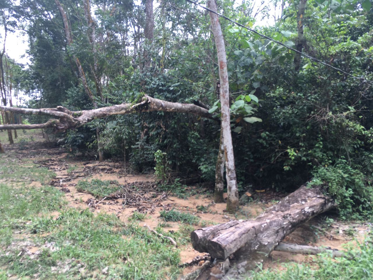 2 Acre Non Bumi Lot Agri land Batang Kali, Hulu - photo 2